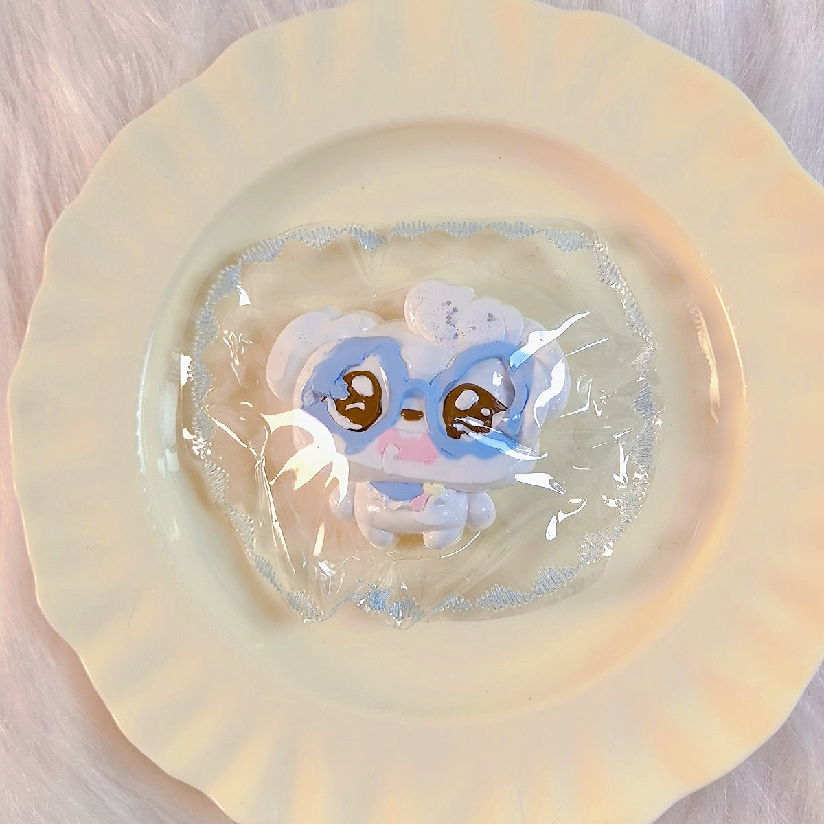 안경 강아지