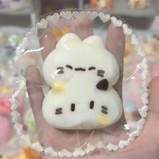 쌍뚱이 냥냥이